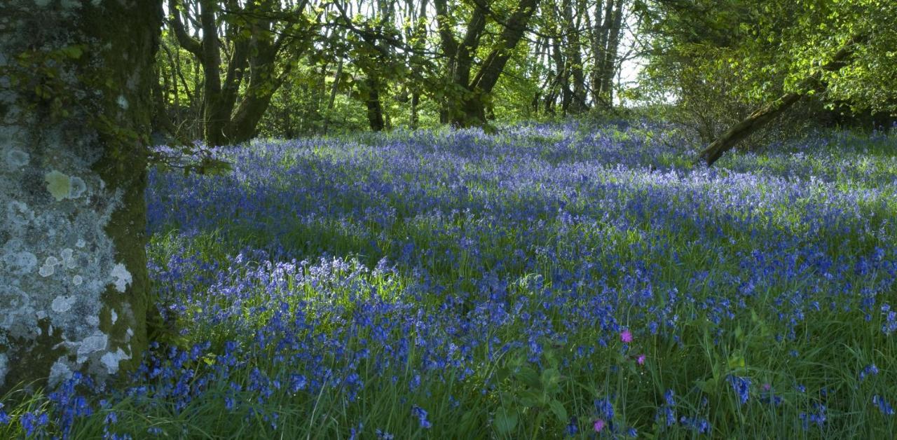 Orroland Holiday Cottages Dundrennan Bagian luar foto