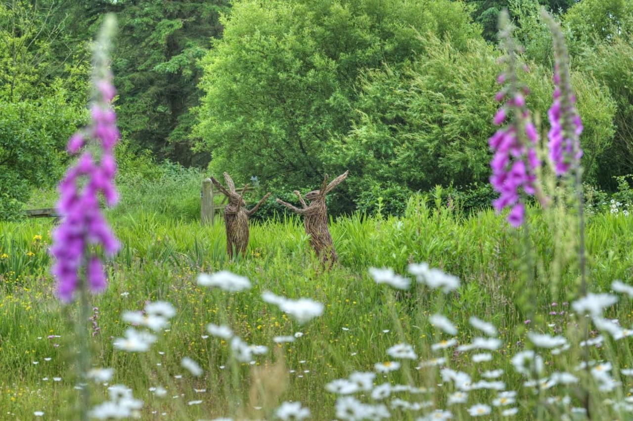 Orroland Holiday Cottages Dundrennan Bagian luar foto