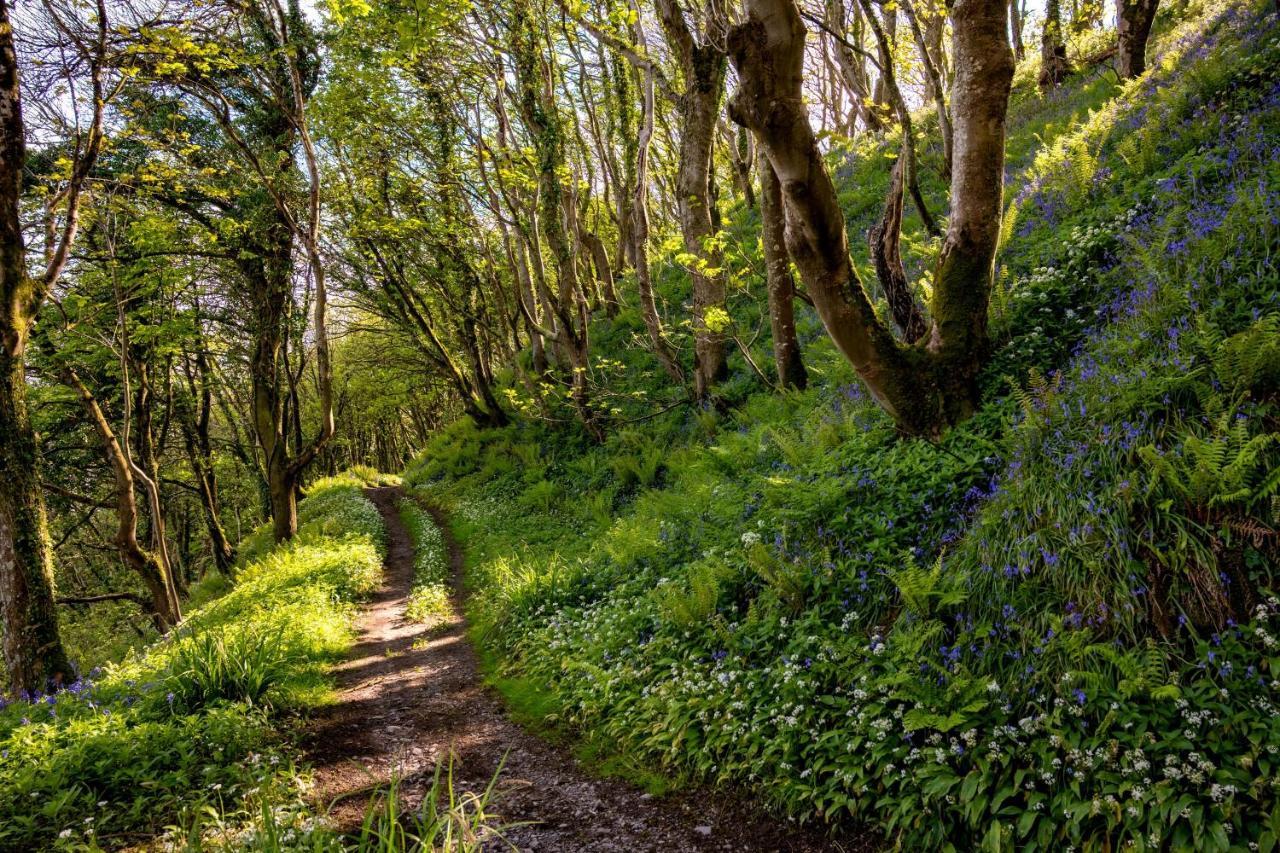 Orroland Holiday Cottages Dundrennan Bagian luar foto