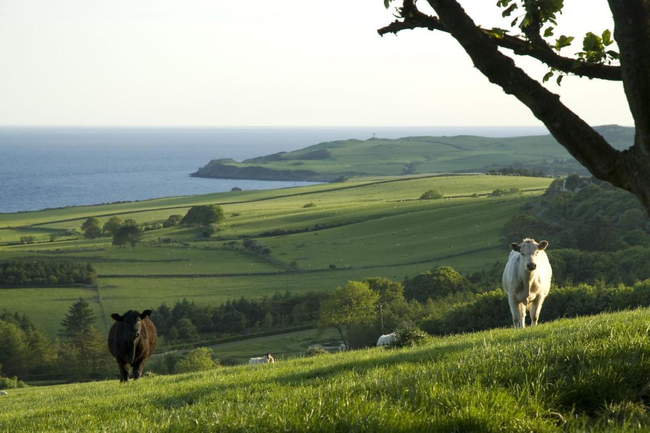 Orroland Holiday Cottages Dundrennan Bagian luar foto