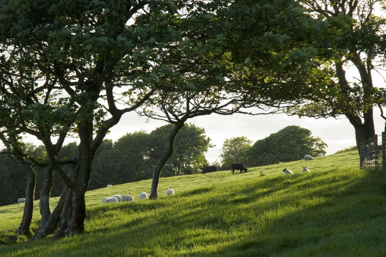 Orroland Holiday Cottages Dundrennan Bagian luar foto