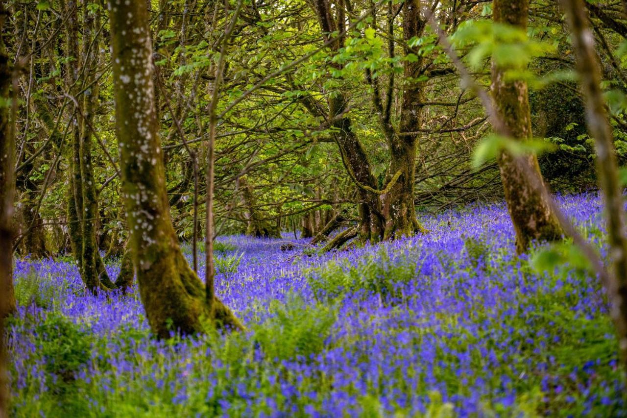 Orroland Holiday Cottages Dundrennan Bagian luar foto